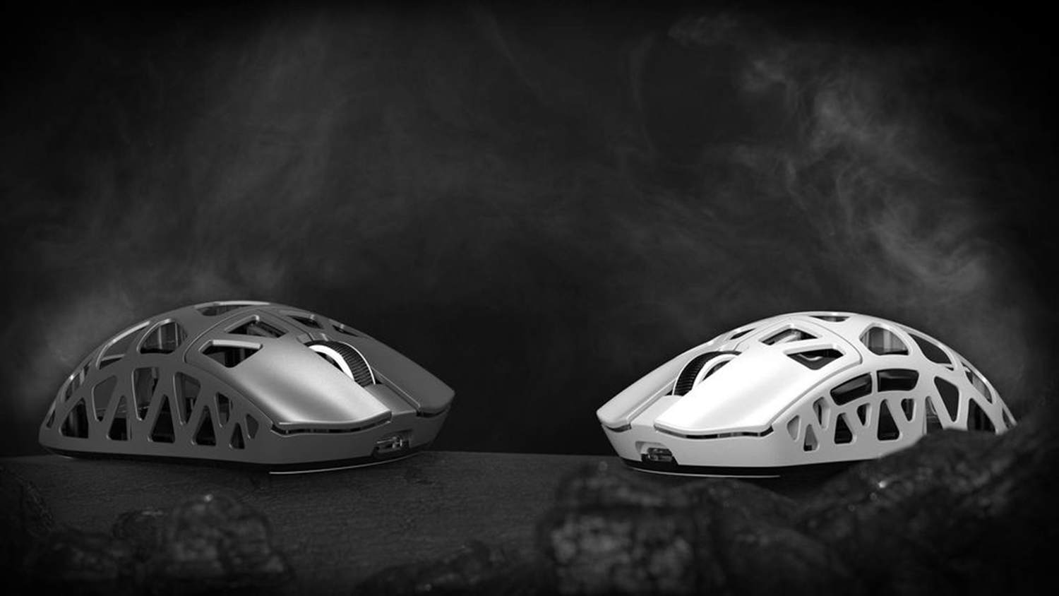 Black, white wireless mouse