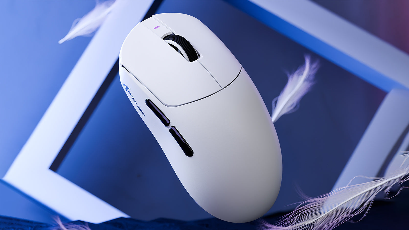 Why is Everyone Obsessed with Ultra-Lightweight Mice (<50g)?
