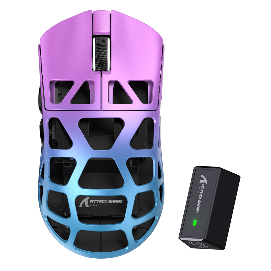 Wireless gaming mouse and receiver for an article about troubleshooting sleep-related disconnects