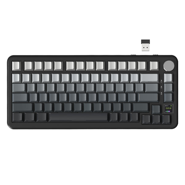 Moonlight / Blueberry Switch (Linear)