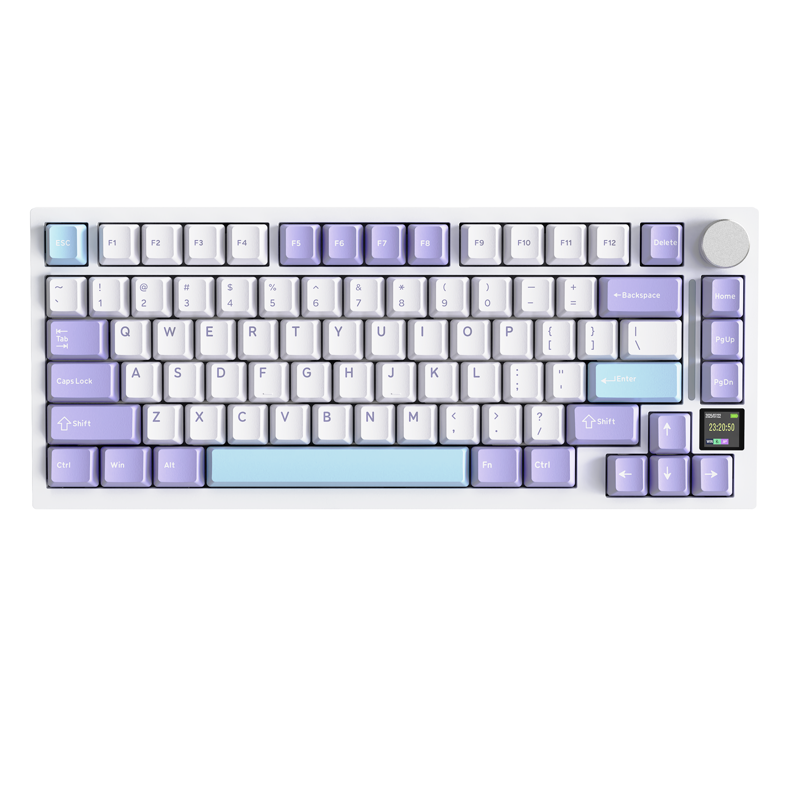 Star White + Shark Switch