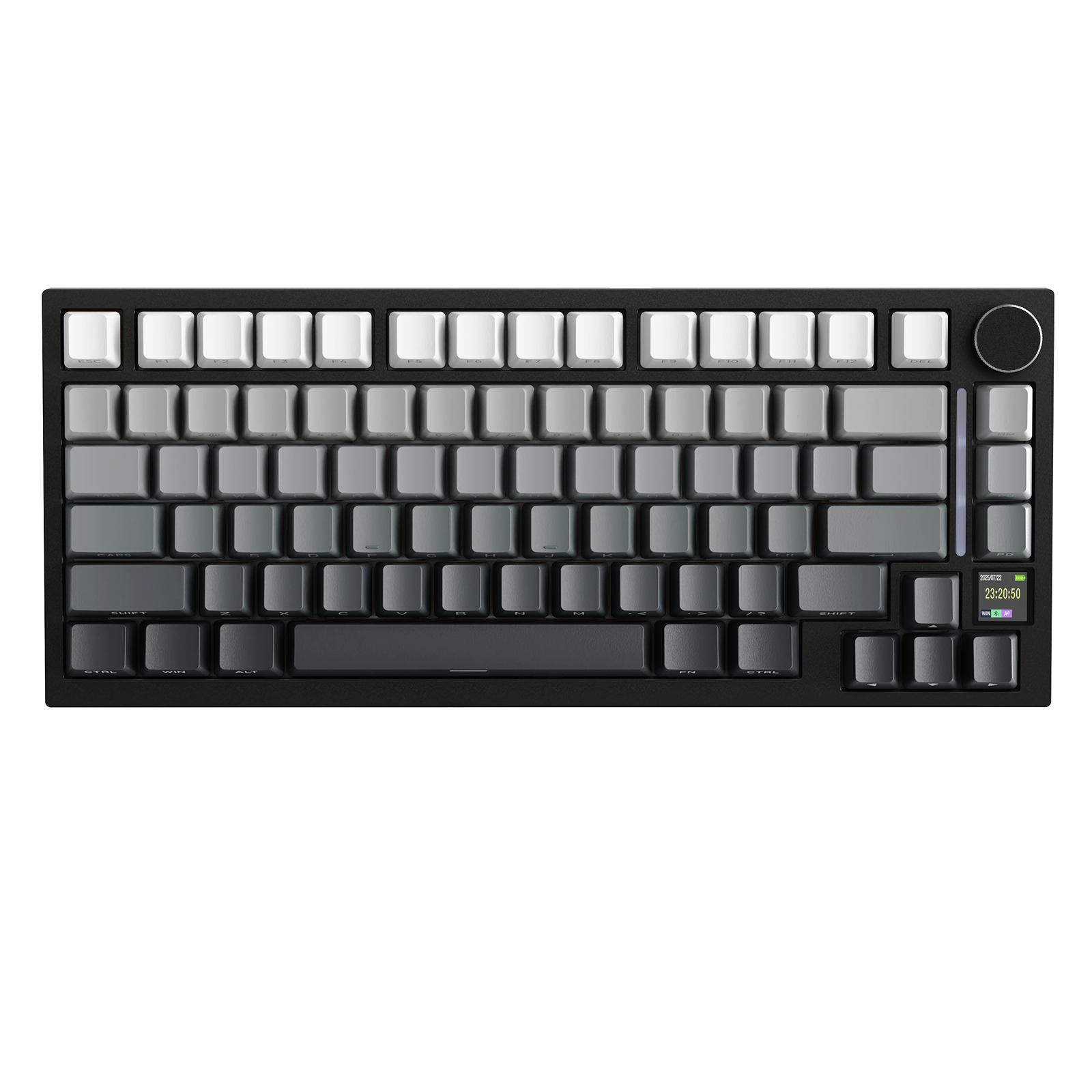 Black Gradient + Shark Switch