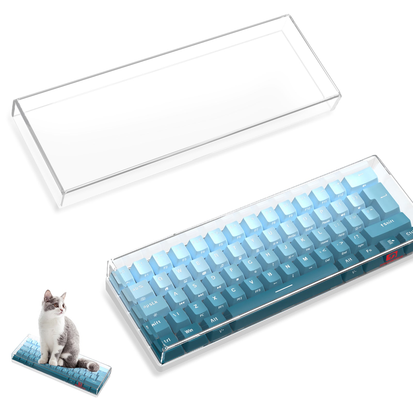 Transparent cover for MAMBASNAKE 62-key gaming keyboard with blue keycaps