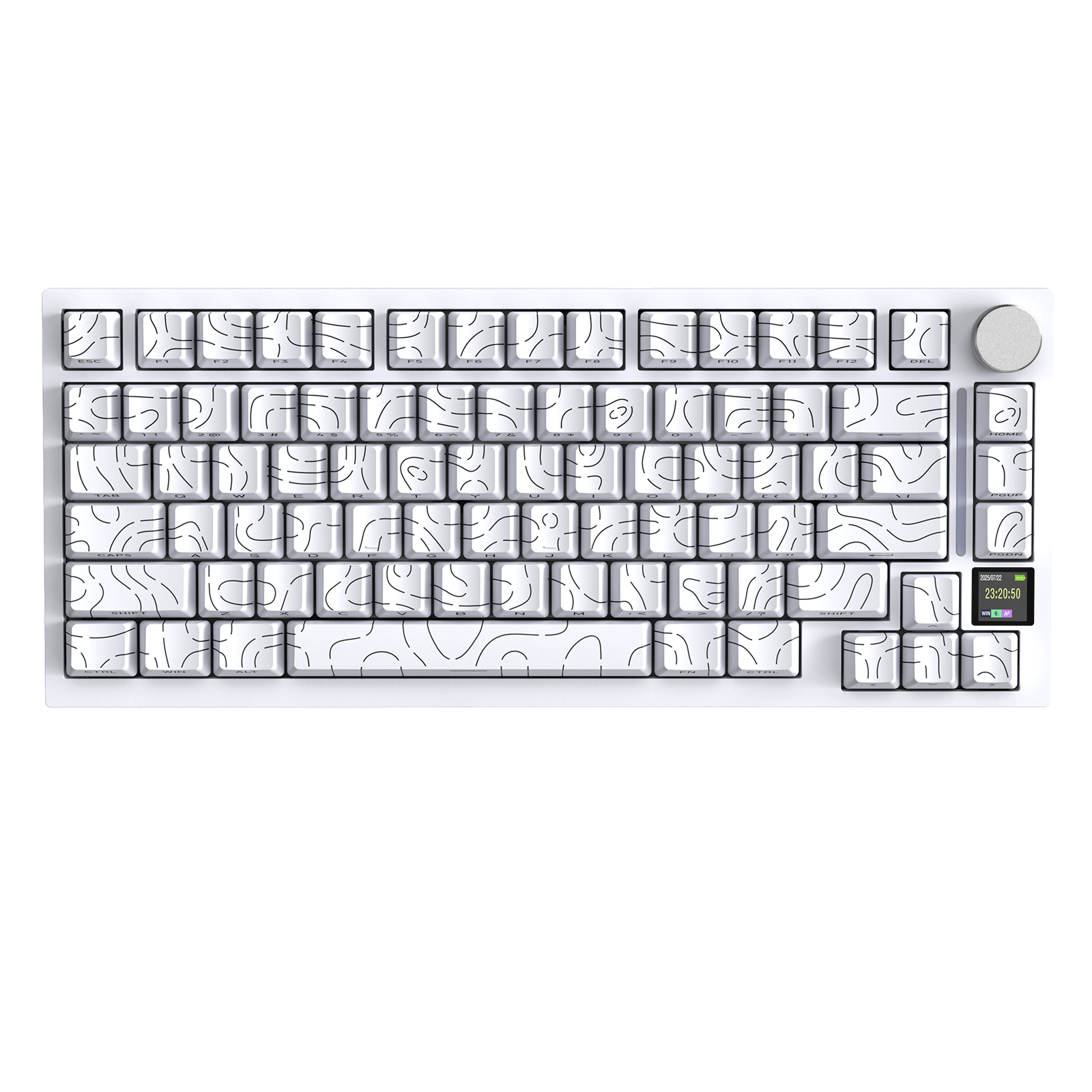 White Contours +Shark Switch